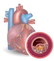 How slim4vit work in our body